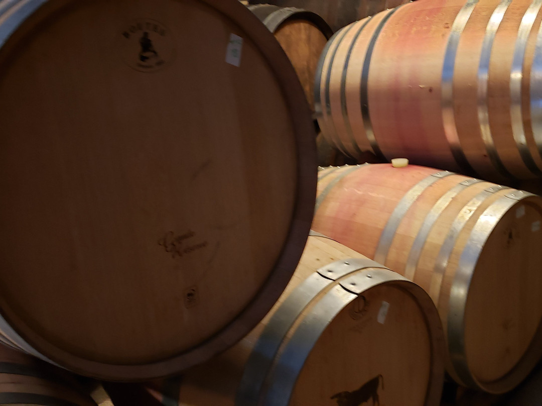 Quinta de Tourais主图