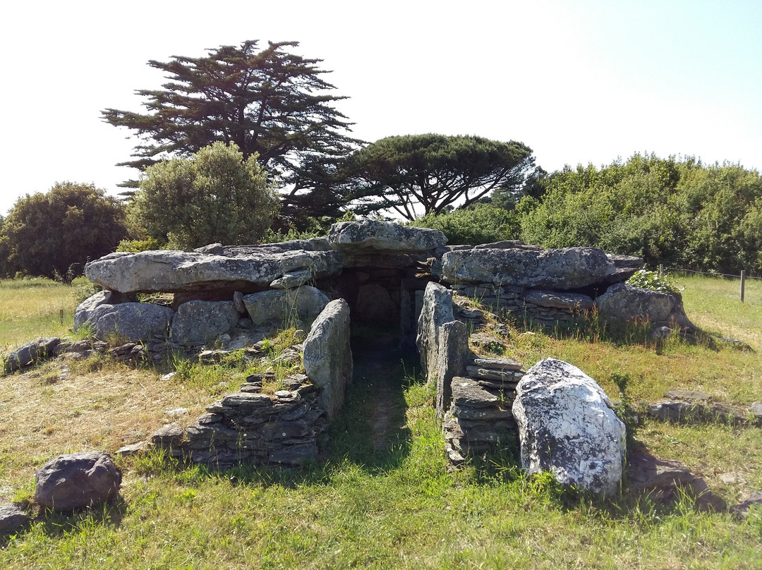 Dolmen de la Joseliere景点图片