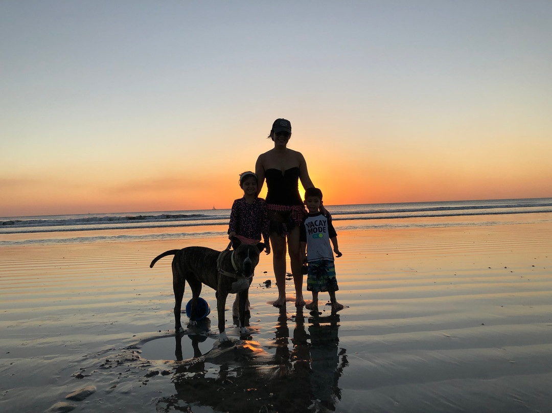 Hotel El Manglar主图