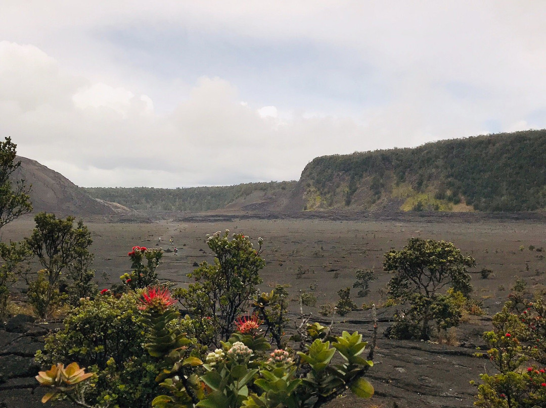 Kilauea景点图片