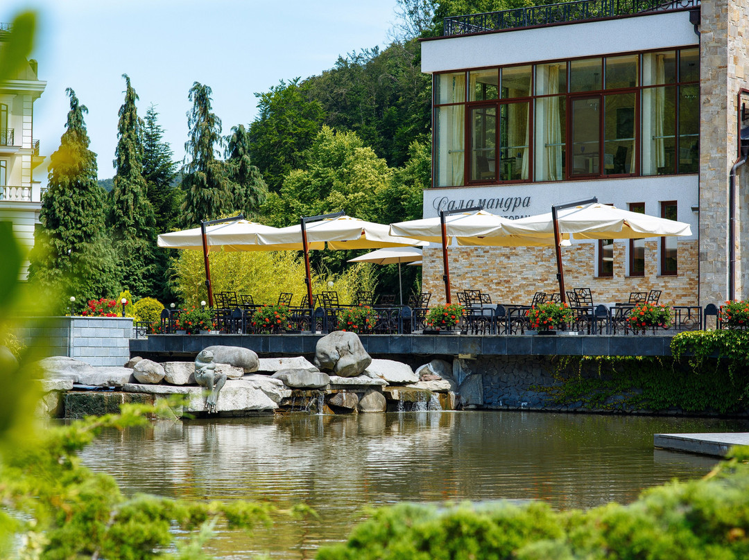 Zakarpattia Oblast餐馆和美食-Salamandra Restaurant