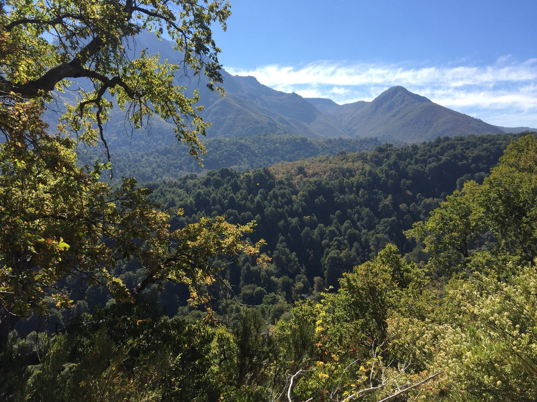 Vilches Alto-San Clemente必去景点