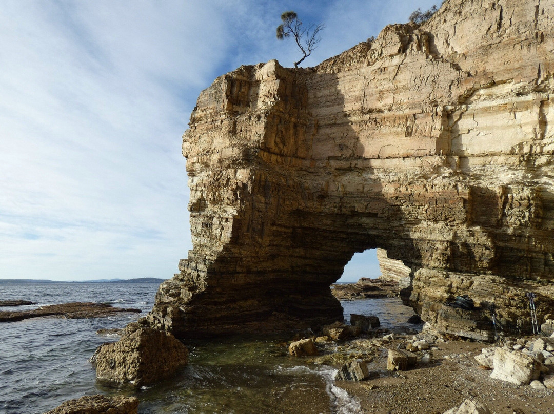 Fossil Cove景点图片