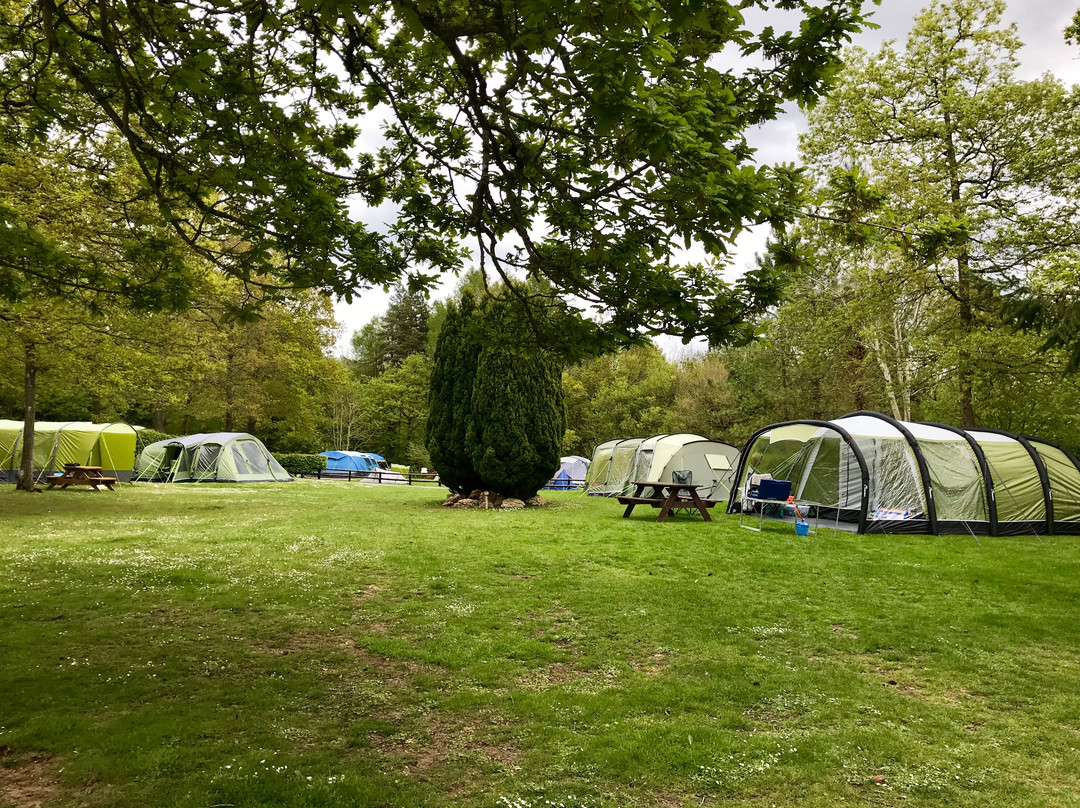 Doward Park Campsite