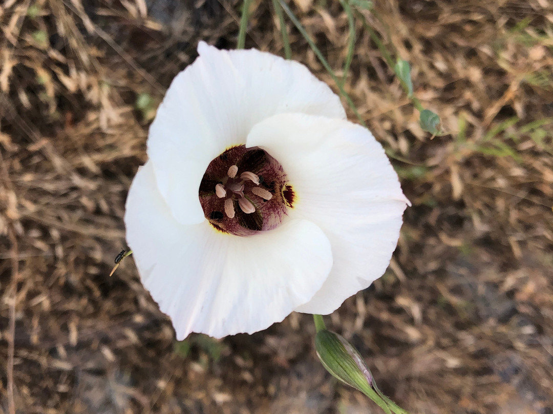 Merced River Trail-Briceburg必去景点