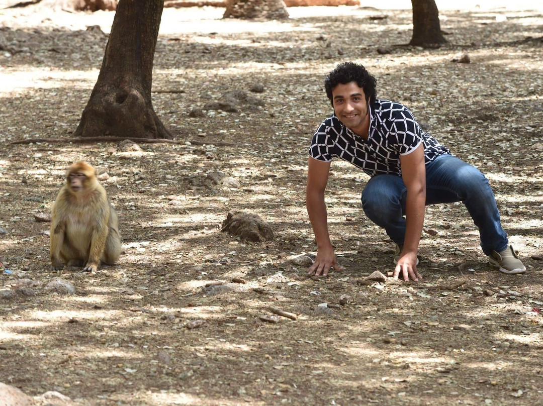 Tour With Iliass-Asni必去景点