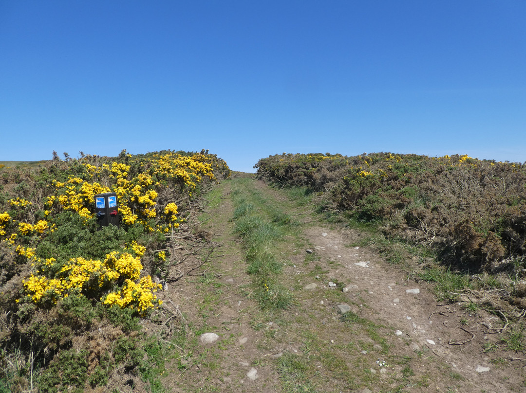 RSPB Troup Head Nature Reserve-Macduff必去景点