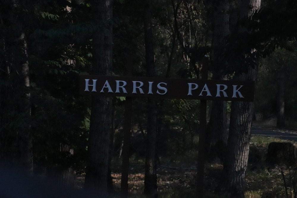 Harris Park景点图片