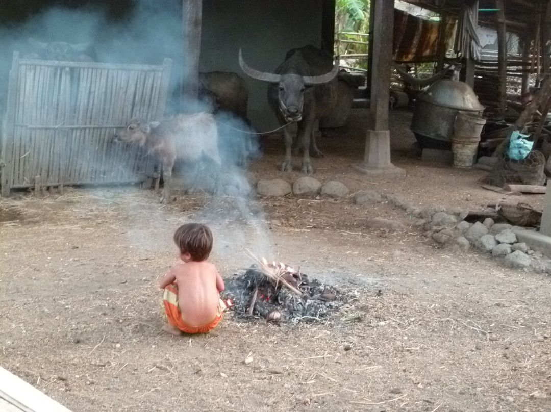 Cheung Kok Village-磅湛必去景点
