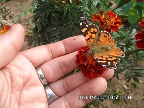 Estadio German Becker-特木科必去景点