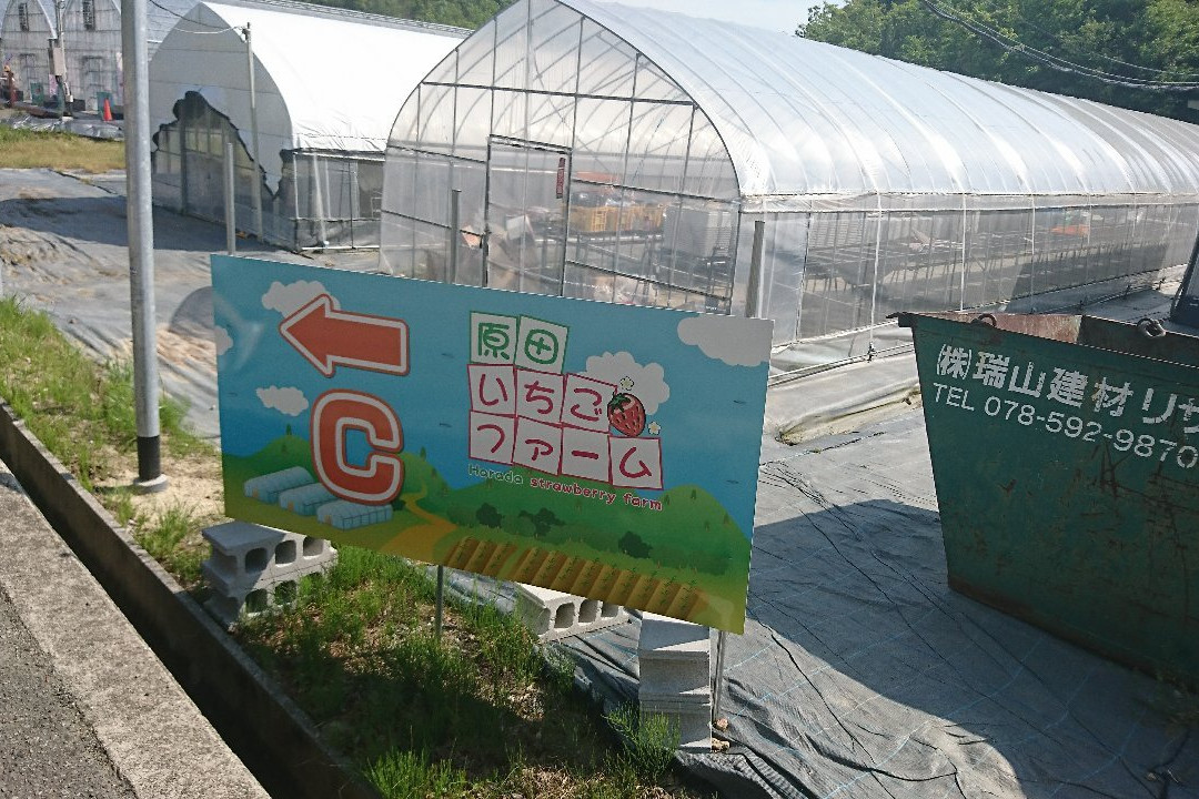 Harada Strawberry Farm-三田市必去景点