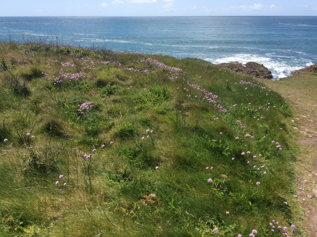 Anse du Cabestan-Audierne必去景点