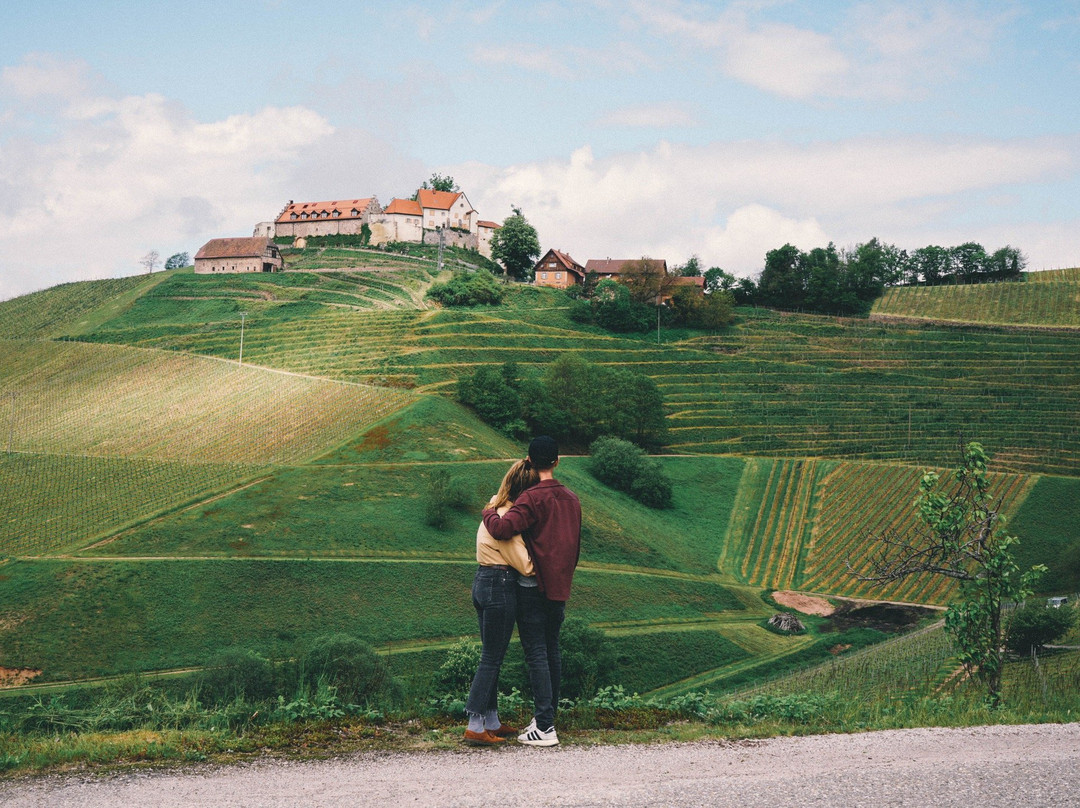 Weingut Schloss Staufenberg景点图片