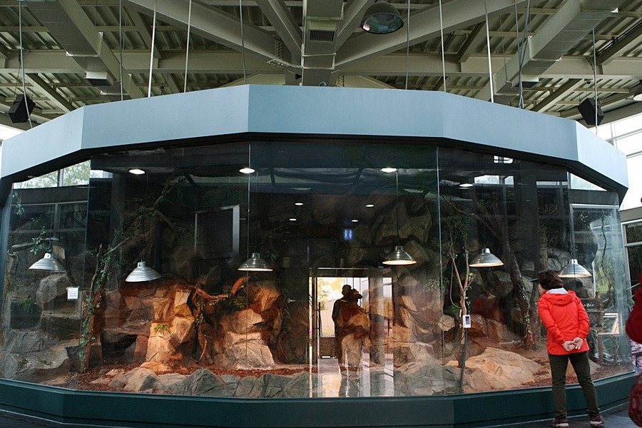 Hampyeong Herptile Eco Park-咸平郡必去景点