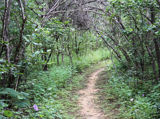 Reserva Natural Serra das Almas-Crateus必去景点