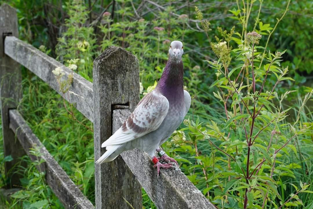 Klostergumpen-Embrach必去景点