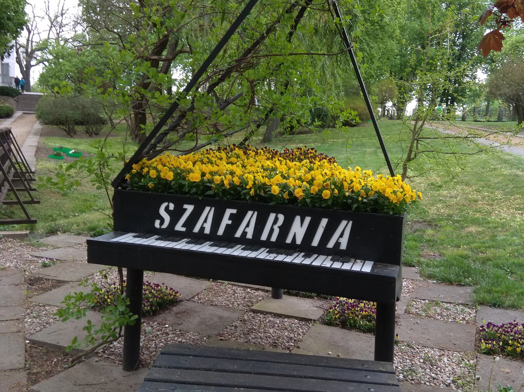 Chopin Centre in Szafarnia景点图片