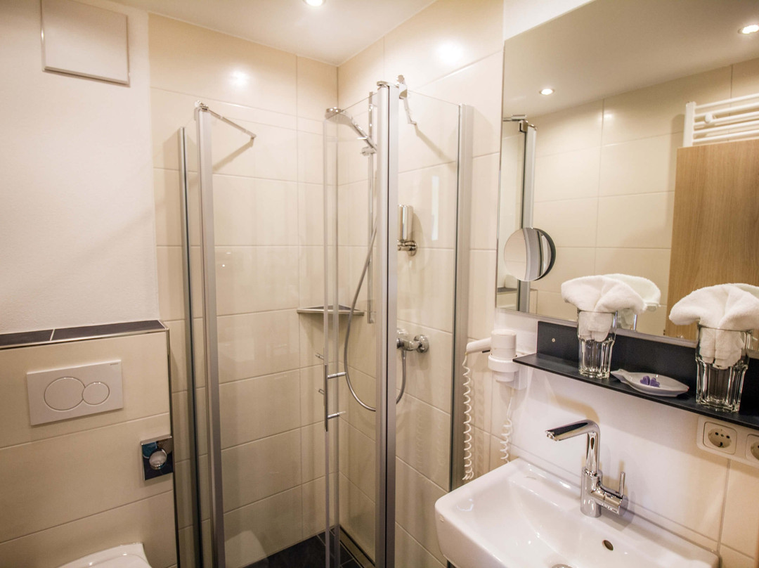 Landhotel Und Weingasthof Schwarzer Adler主图