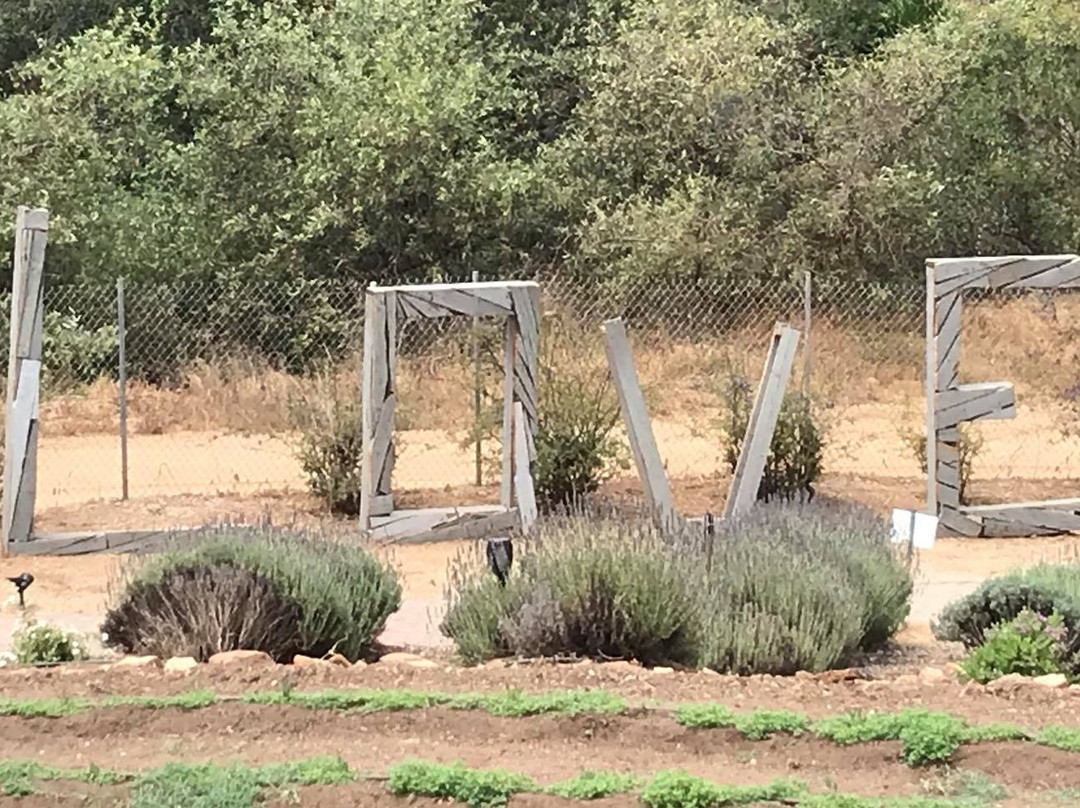 Keys Creek Lavender Farm-瓦利森特必去景点