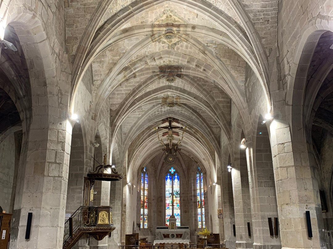 Collégiale de Saint-Bonnet-le-Château景点图片