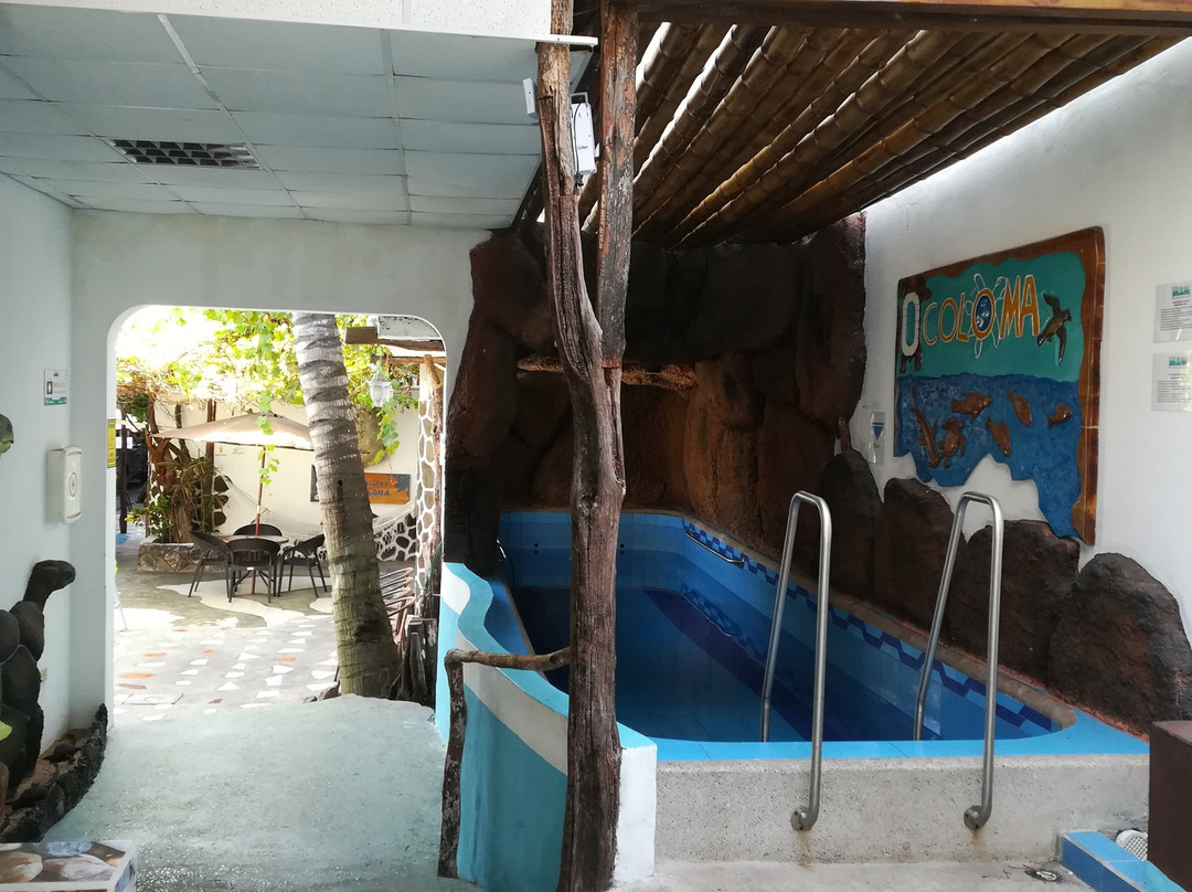 科洛马加拉帕戈斯旅馆主图