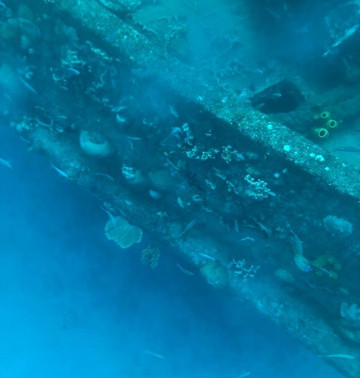 Clear Kayaks Barbados-布里奇顿必去景点