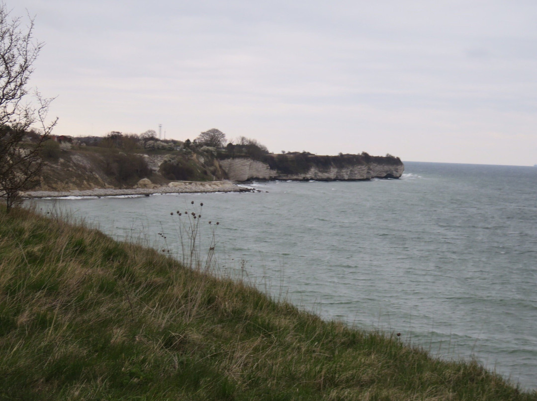 Stevns Klint Trampesti景点图片