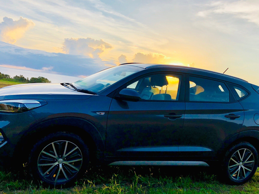 Travel Safe Transfers-道格拉斯港必去景点