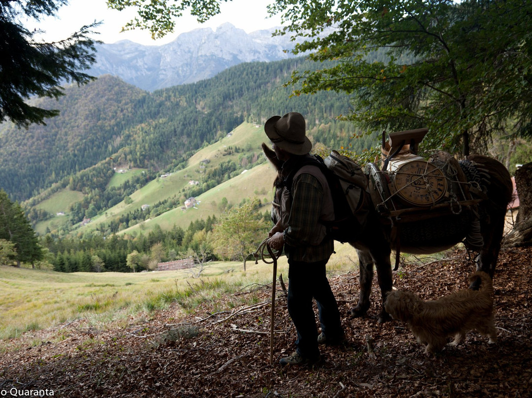 Albergo Diffuso主图