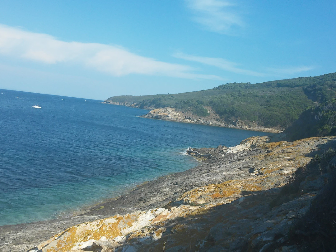 Spiaggia Di Buzzancone o Cera景点图片