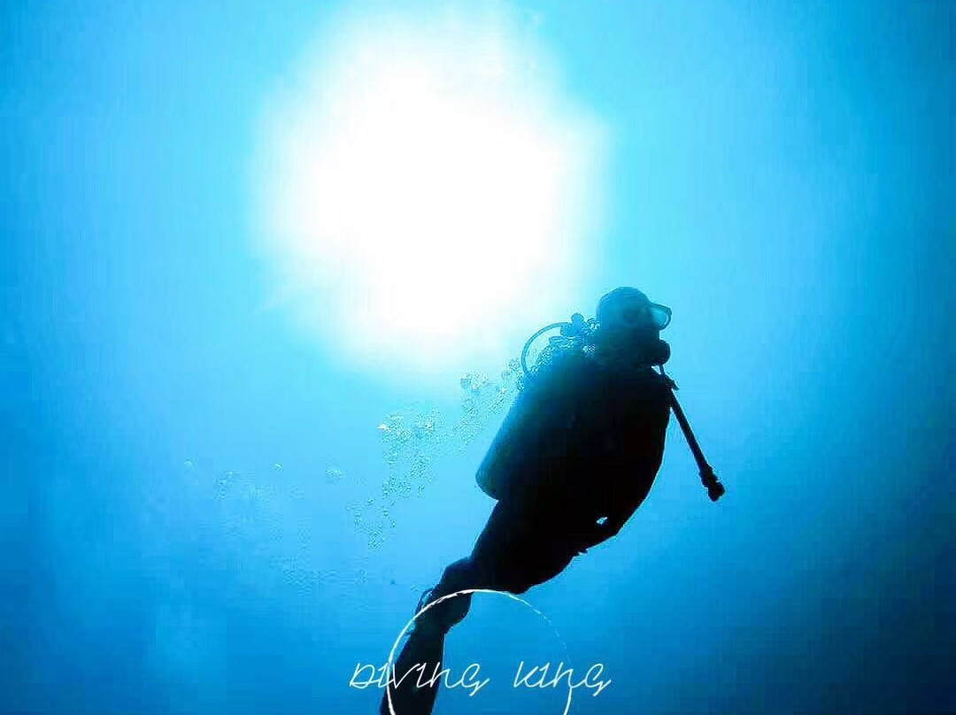 Diving King Dive Resort-Panglao必去景点