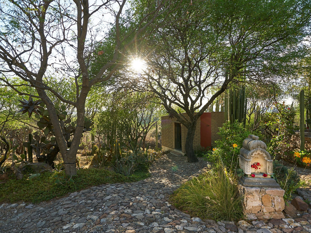 Sagrada Holistic Ranch主图