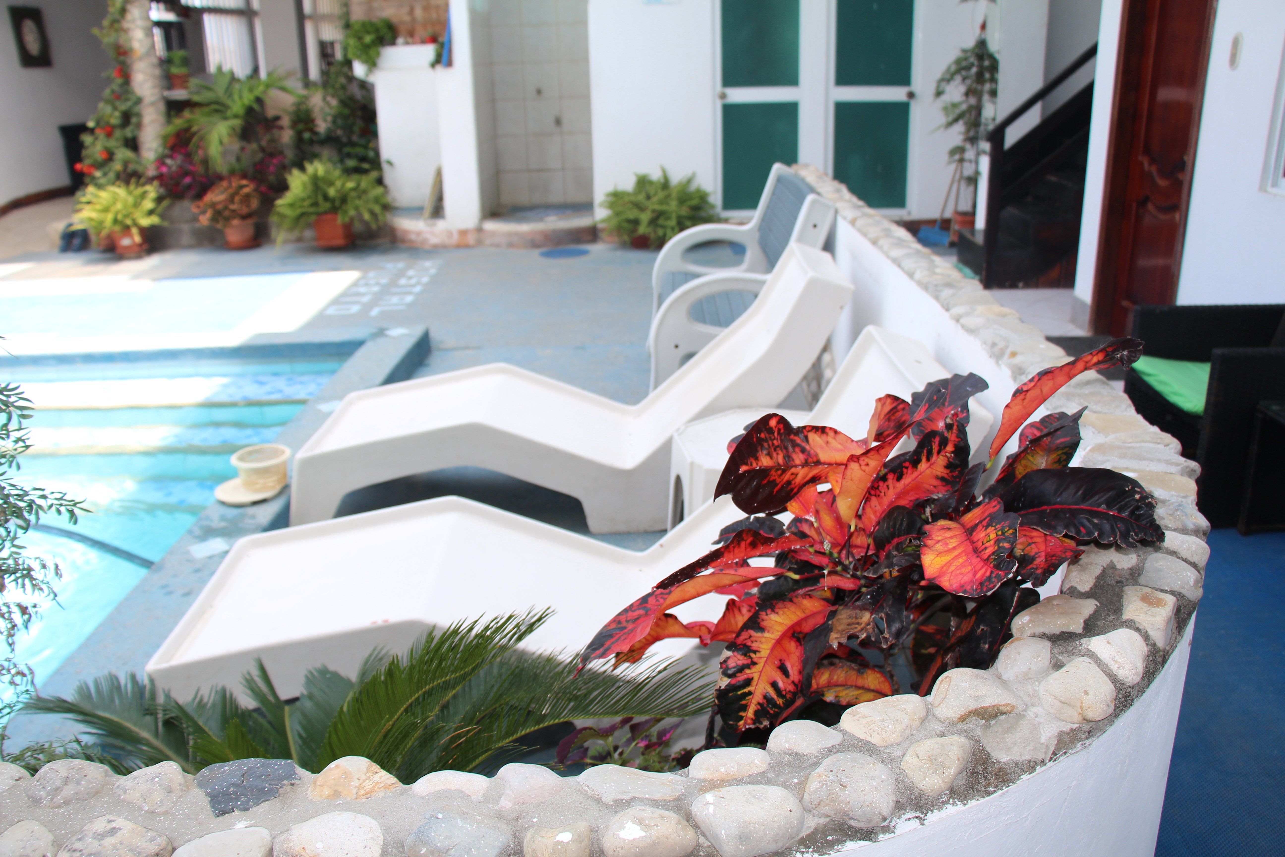 Hotel Puerto Polo-官方