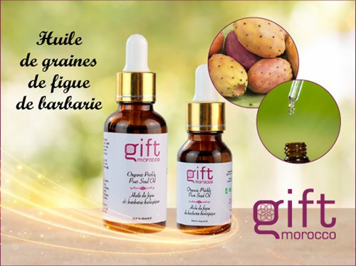 Gift Morocco-阿加迪尔必去景点