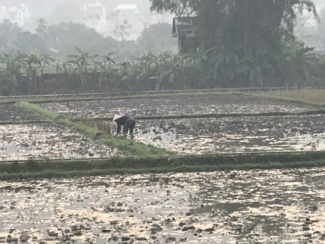 Mai Chau Valley View主图