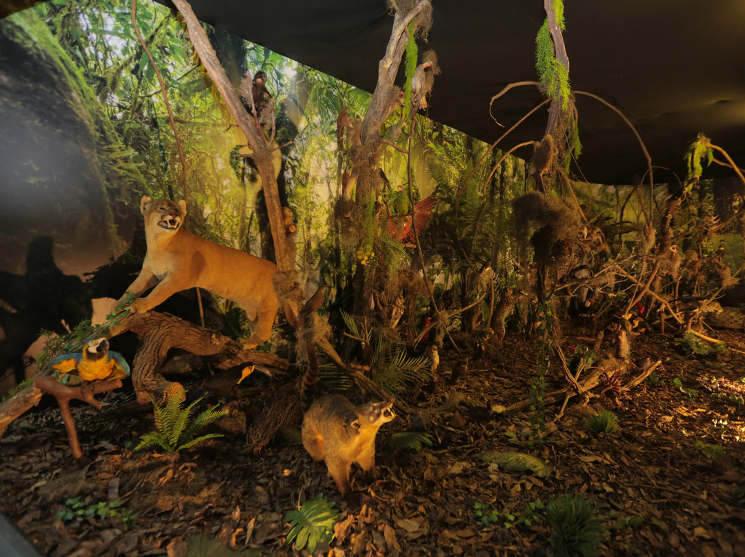 Itaipu Natureza-伊瓜苏必去景点