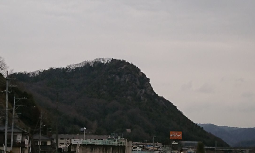 Niitakayama Castle Ruin景点图片