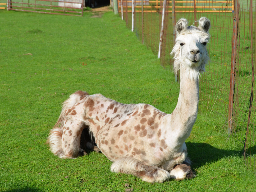 Justin Trails Resort, LLC主图