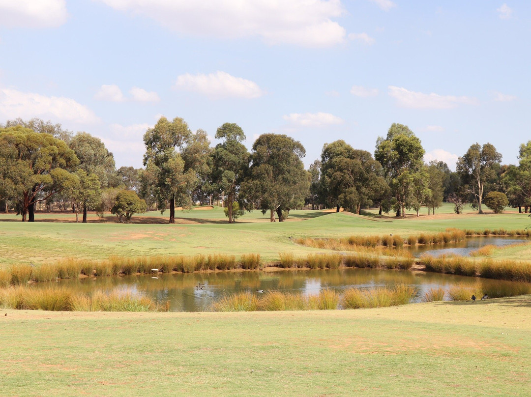 Rich River Golf Club-Moama必去景点