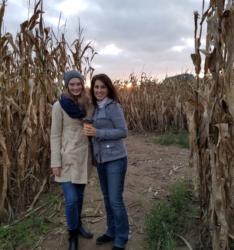 Maize Valley Market & Winery-Hartville必去景点