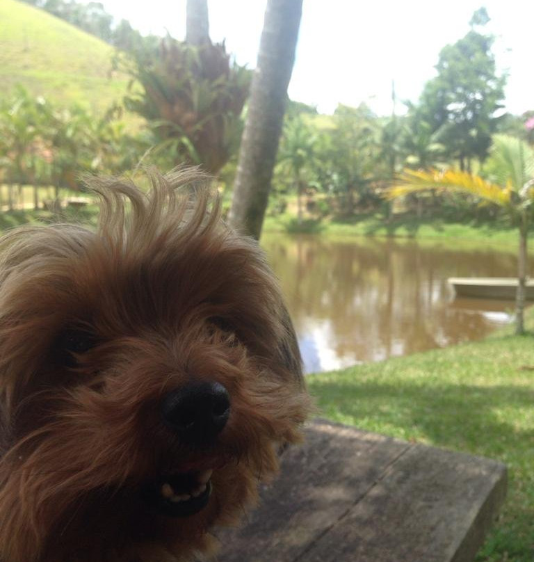 Pousada Fim da Picada主图