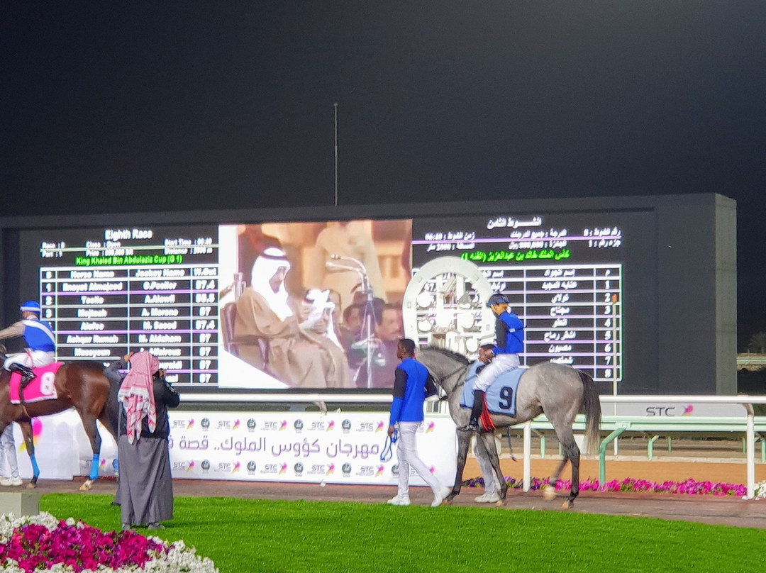 King Abdulaziz Equestrian Field景点图片