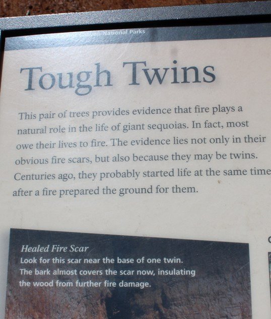 The Tough Twins-红杉&国王峡谷国家公园必去景点