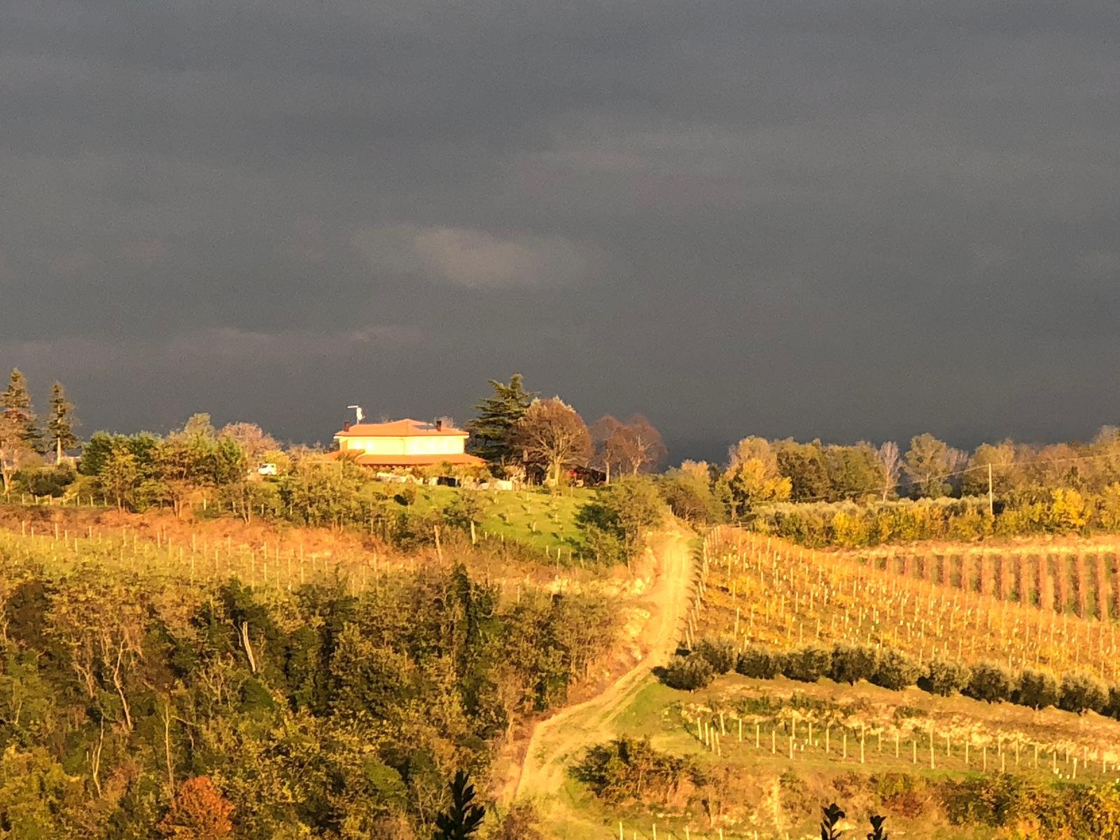 蒙特斯特林诺住宿加早餐旅馆-官方