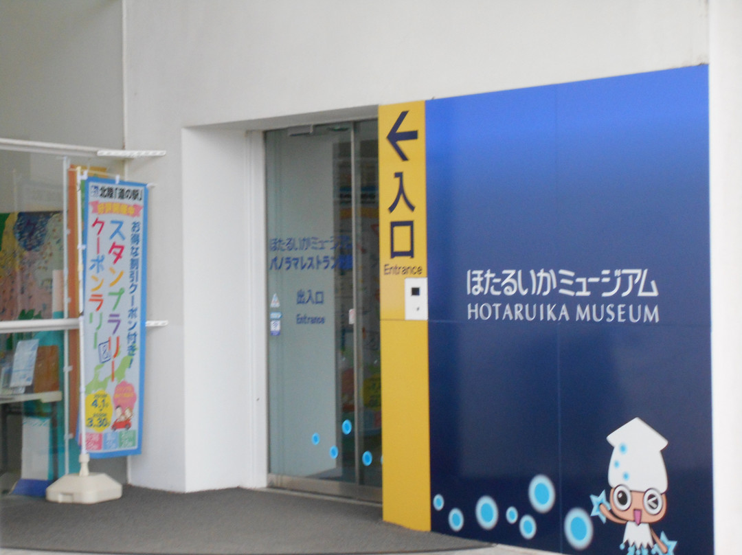 Firefly Squid Museum-滑川市必去景点