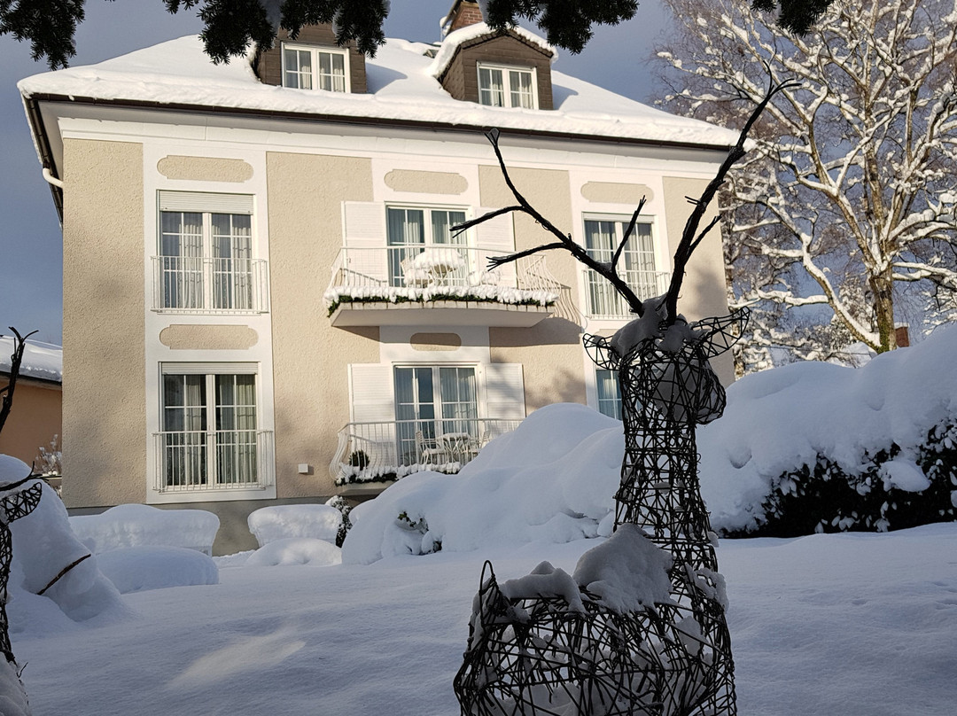 The Little Guesthouse Salzburg主图