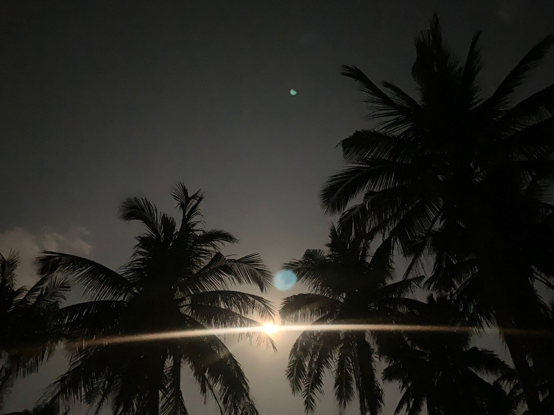 Pirates Bar-帕岸岛必去景点