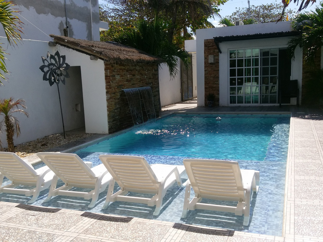 Bears En La Playa主图