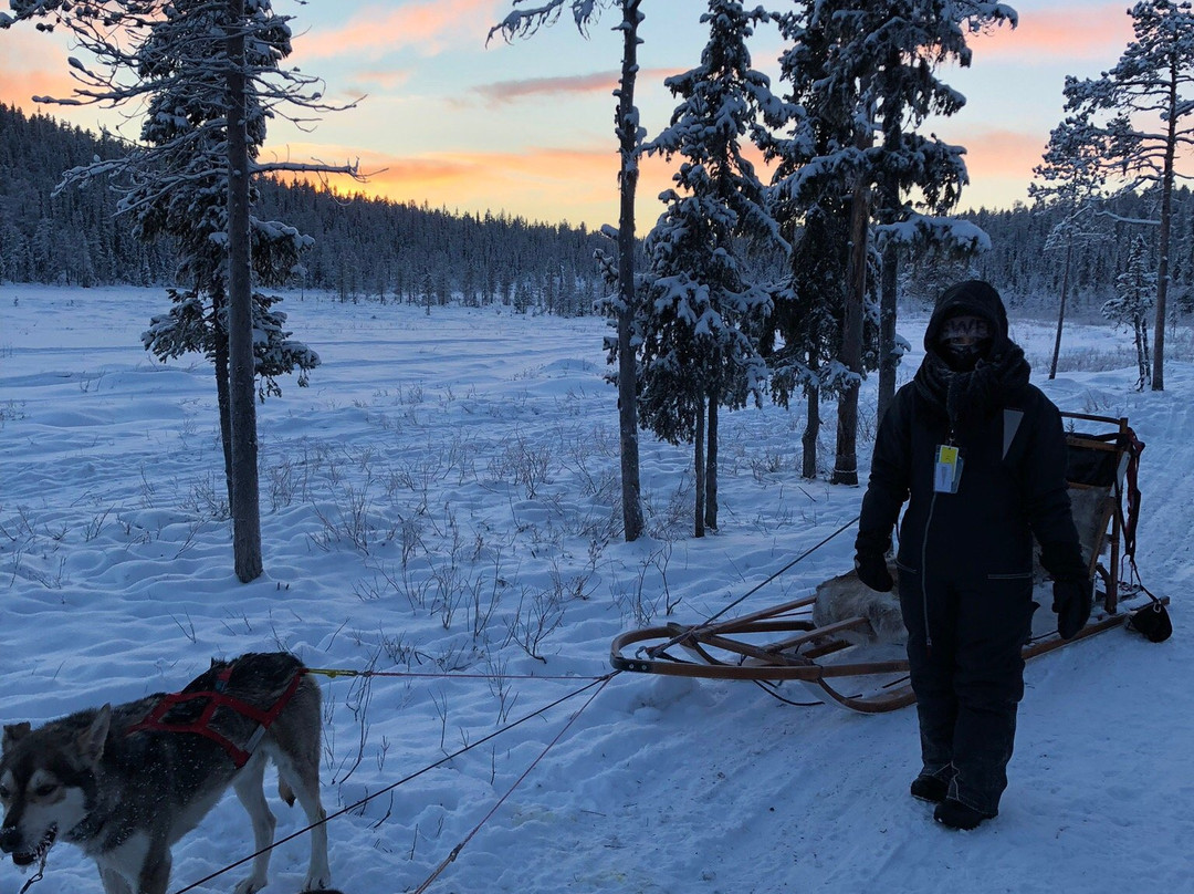 Ice Driving-Jukkasjarvi必去景点