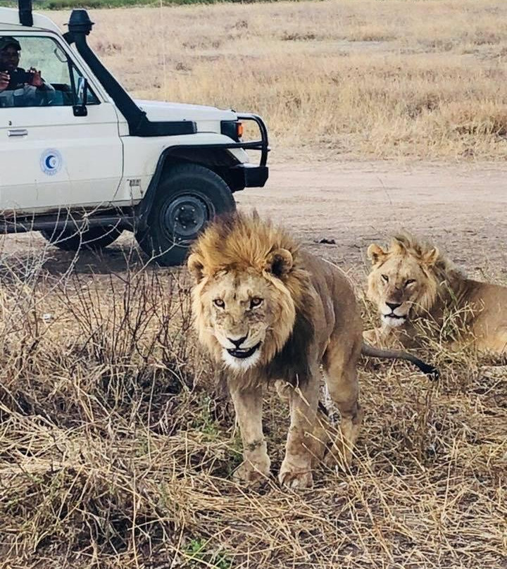 African Addictive Adventures / A.A.Adventures-莫西必去景点